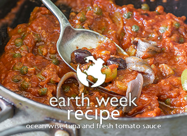 EARTH WEEK: Chef Antonio’s Ocean Wise Tuna and Fresh Tomato Sauce