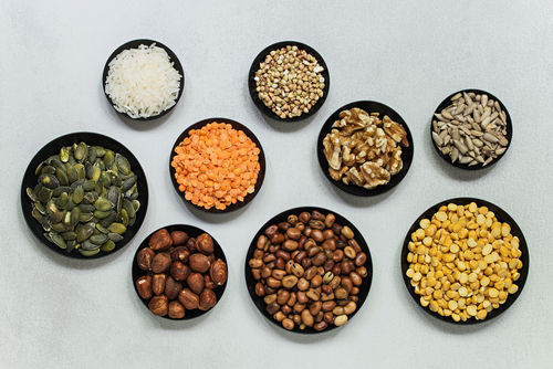 Plant-Based Protein Sources