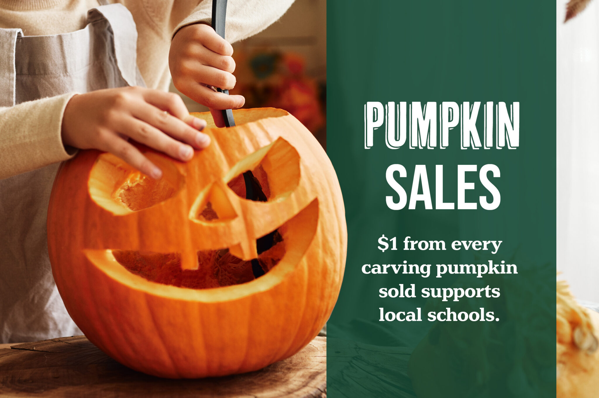 Carve a Pumpkin, Support a School
